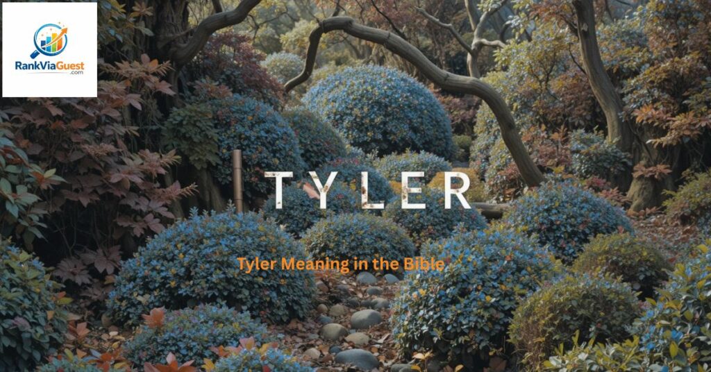 Examples of Biblical Building & Construction Meaning